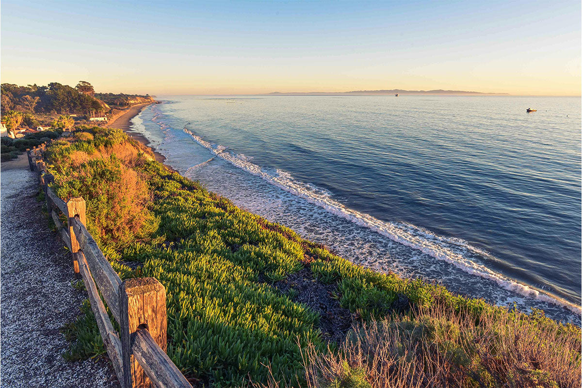 How Beachfront Hotels and Vacation Rentals Handle Beach Tar